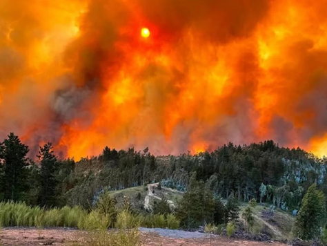 El fuego que arrasa todo: pueblos enteros, muertos y furia en el sur de Chile