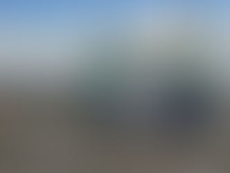 Investigan la venta irregular de hasta 40 vacunos detectada en una transmisión online