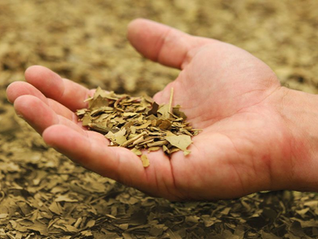 Más exportaciones, menos rentabilidad: el campo regional no logra salir de la crisis