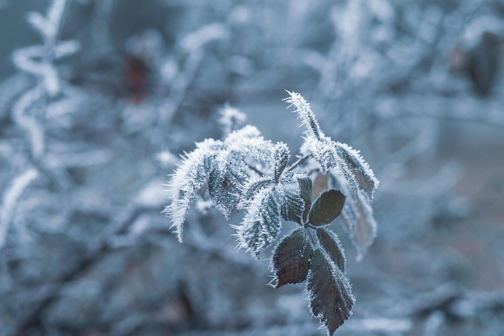 “El frío ya llegó”: El fenómeno que podría dejar nieve en varias provincias Argentinas