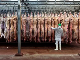 Menos producción en 2026: la carne sube y el campo advierte impacto
