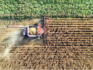El índice FADA marca 61,9%: más de la mitad de la producción agropecuaria se va en impuestos