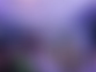 Investigan a una madre por la desaparición de $11 millones de una fiesta de egresados