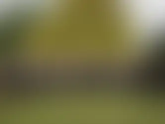 Una noche para dejarse llevar: Arsis propone un viaje por la música argentina coral