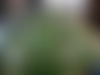 Tributolandia: un viaje al país donde la creatividad impositiva no descansa