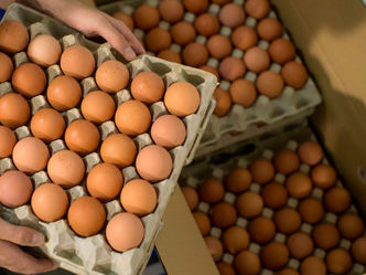Argentina bate récord histórico de consumo de huevos: creció un 20% en los últimos años