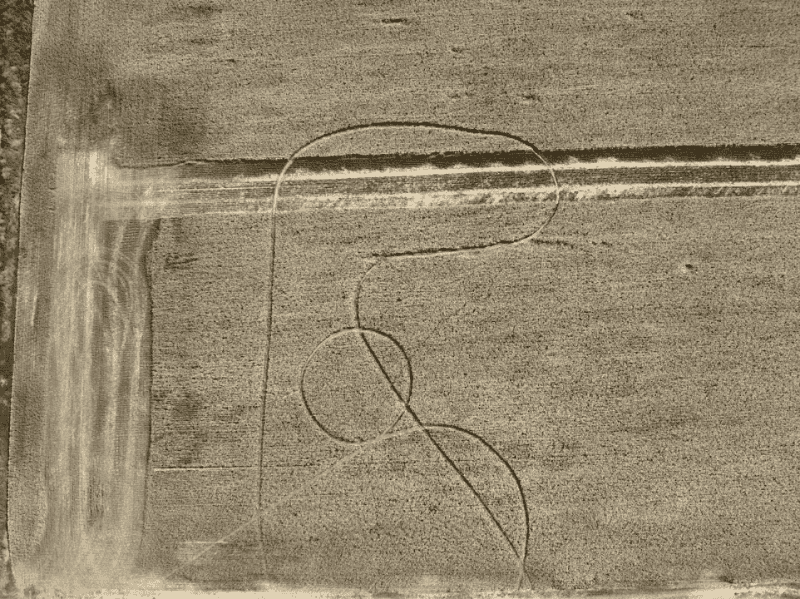 ¿Fenómeno natural o algo más? El enigma de las marcas que aparecieron en un campo