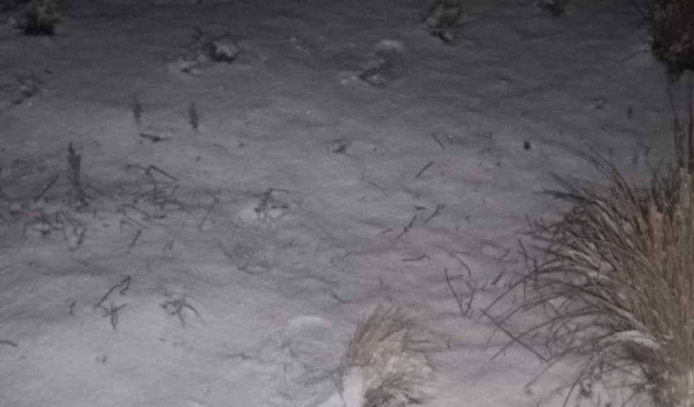 El Champaquí amaneció nevado y dejó postales increíbles en plena ola polar