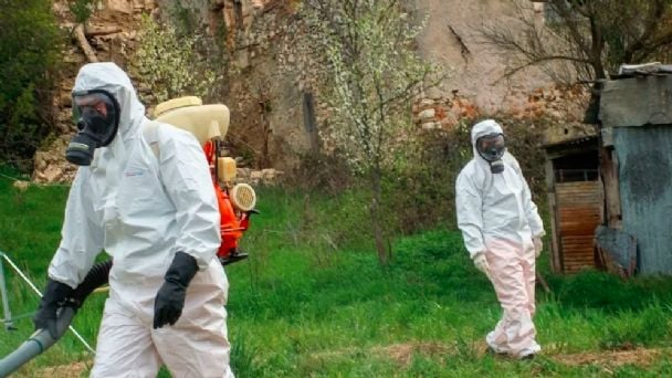 Un equipo del Malbrán investiga la posible circulación de hantavirus en Ushuaia