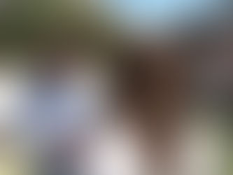 Balas, silencio y bronca: Que está pasando en el barrio donde ya hubo dos ataques armados