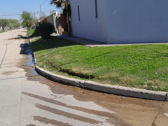 “Es una humillación vivir así": denuncian desborde de cloacas en el sur de la ciudad