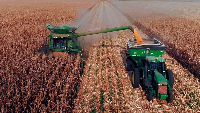 Soja, retenciones y dólar atrasado: crece el malestar en plena cosecha