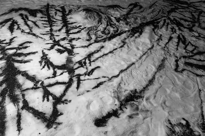 “MONITOR YIN YANG”: la obra  hecha con sal y carbón que reprensentará a Argentina en la Bienal de Venecia 2026