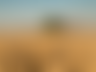 Los exportadores descartan una baja de retenciones en 2026 y exigen una definición urgente al Gobierno