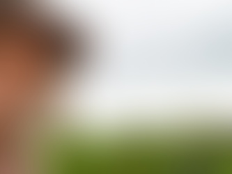 Entre cheques sin fondos y precios de miseria: la yerba mate en una crisis que quema