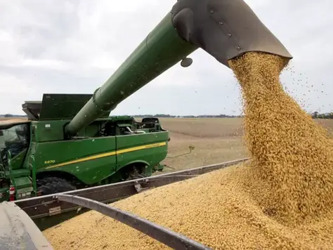 Retenciones más bajas y mercados internacionales abiertos: qué significa la nueva normativa para el agro