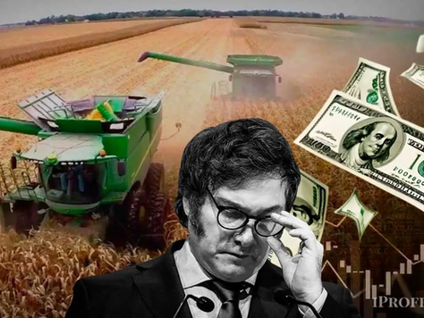 ¿Por qué la quita de retenciones no fue pensada para el campo? La mirada de un especialista