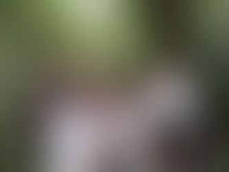 La UNRC fortaleció su agenda ambiental con reconocimiento internacional