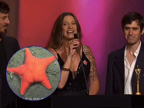 La ciencia argentina ganó el Martín Fierro de ORO: el stream del CONICET del fondo del mar hace historia