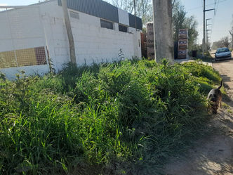 Vecinos reclaman por una parada de colectivos que está "en medio de la selva"