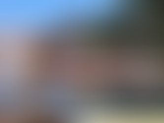 La justicia federal imputó a Alicio Dagatti y otras 10 personas por lavado y evasión