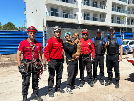 La Guardia Local y el DUAR salvaron a una perrita tras pasar la noche en una terraza