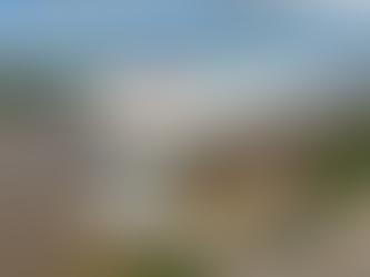 Autos eléctricos chinos: más oferta, precios en tensión y un desafío para la industria nacional