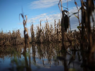 El agua deja al desnudo el abandono rural: productores hablan de “pueblos aislados”