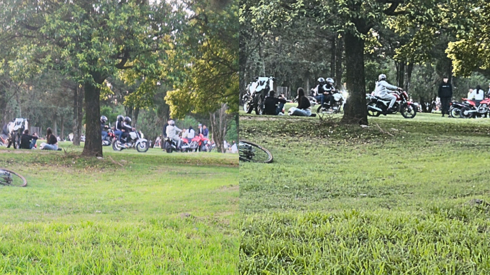 Otra vez las hordas irrumpieron la tarde del domingo: “siempre con actitud temeraria”