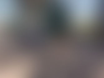 El reciclaje, a la basura: el Punto Verde del Parque Sarmiento que da vergüenza