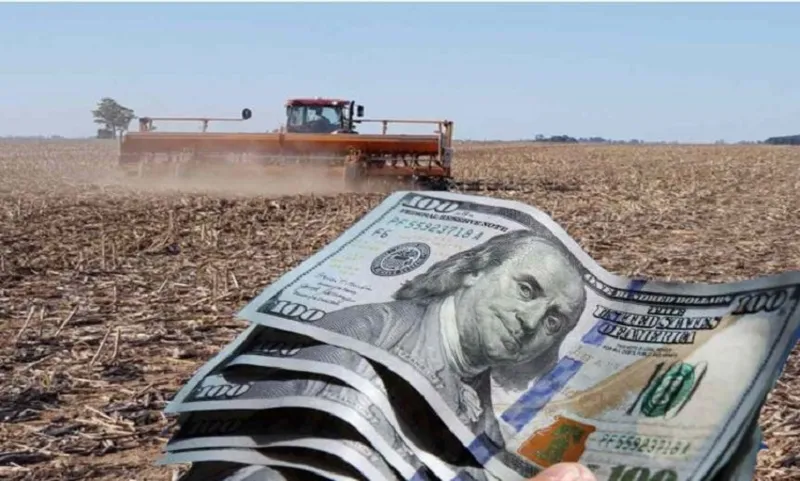 Entrarán dólares, pero al campo no le cierran los números