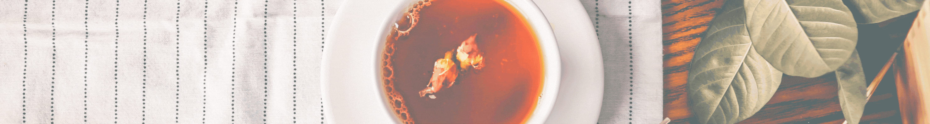 SalonBanner.gif
