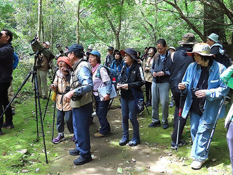 5月9日加江田渓谷探鳥会