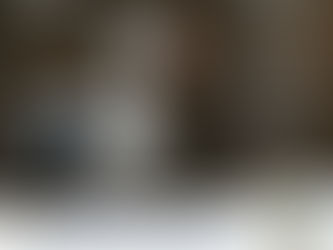 アオサギのピンバッジをつけてバードメイトになりませんか!