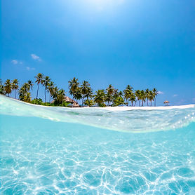 crystal clear water near coconut trees u