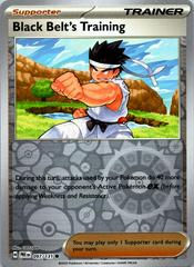 Miniatura: Black Belt's Training