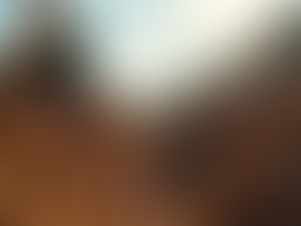 Comprehensive Guide to Excavation Services