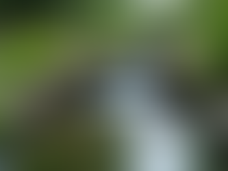 Innovative Remodeling Ideas for Your Landscape