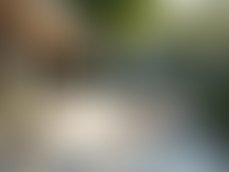 Stylish and Durable Concrete for Landscaping