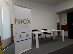 Neurociências e Educação