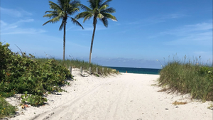 Sunken Dreams & Spanish Gold: A Treasure Hunter’s Guide to Florida’s Fabled Coast
