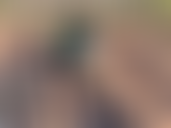 Digging Up the Past: The Hunt for Colonial Relics and Native American Artifacts