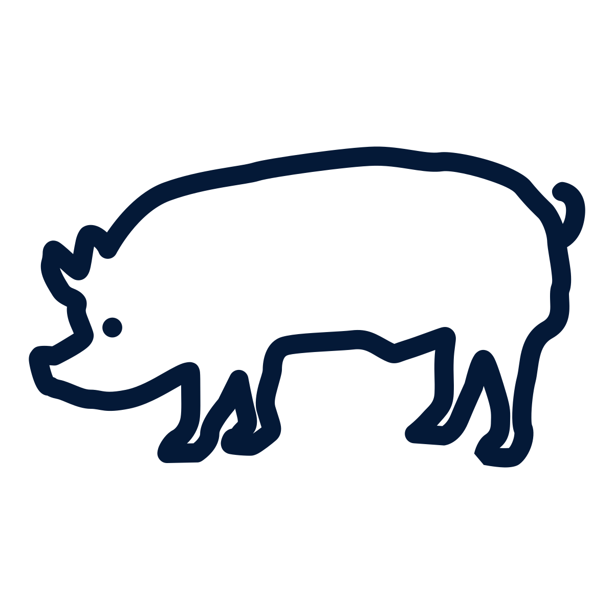 an icon of a pig