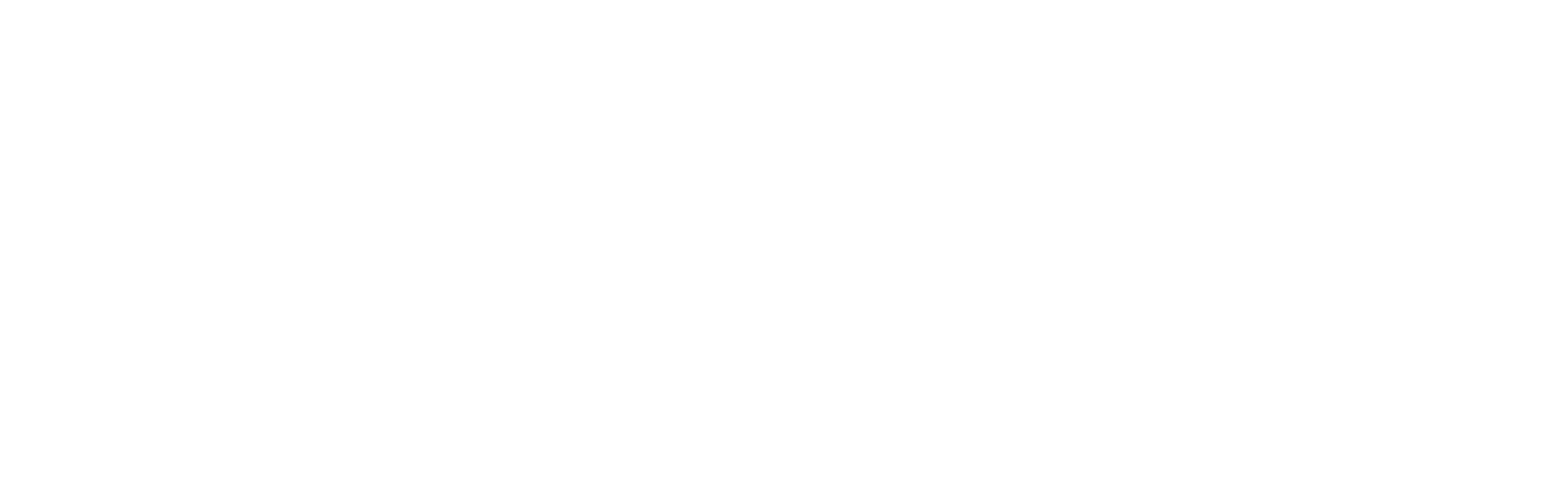 horizontal_logo_white (5)_edited.png