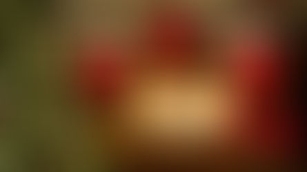 Jo Malone Ginger Biscuit, Cape Heartache Imaginary Authors, Fugazzi и другие лучшие ароматы на Рождество 2025