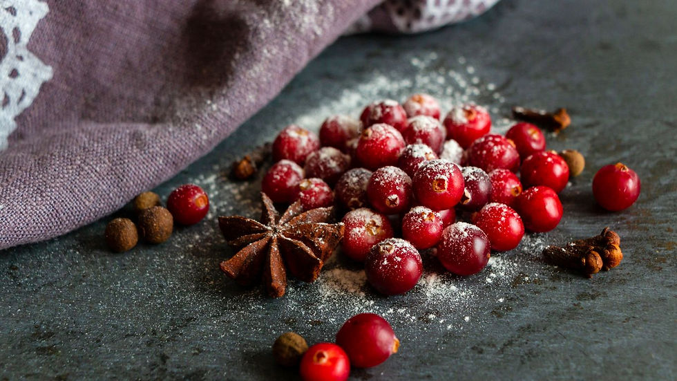 Красные рождественские ягоды и зимние декоративные ветви — настроение аромата Hattai Le Couvent Maison de Parfum.