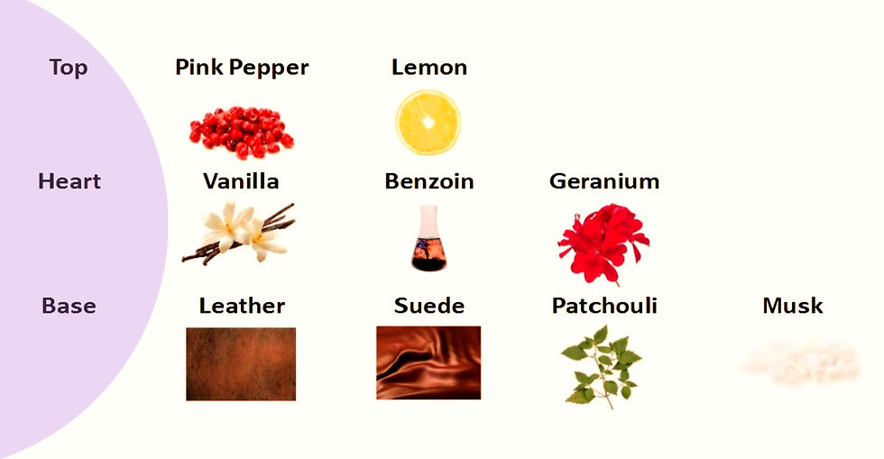 Пирамида аромата DUNE от iPiccirilli: верхние, средние и базовые ноты extrait de parfum