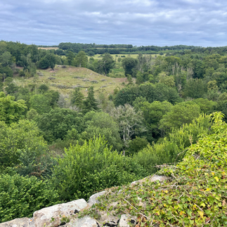 The view from Mulgrave Castle