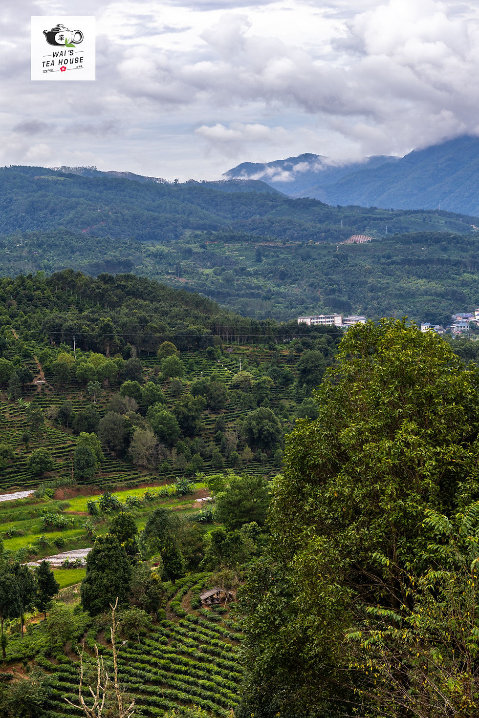 The view from our "Beehive" Suite on the mountain.