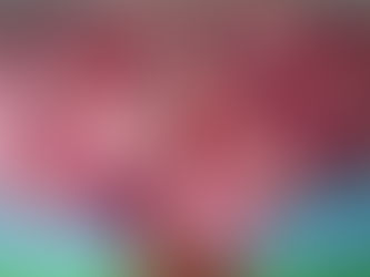 さくら満開🌸【デイサービスセンターえがお】